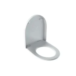 Asiento Y Tapa Inodoro Icon – Geberit