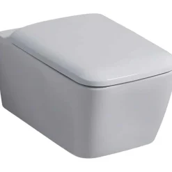 Asiento Y Tapa Inodoro Icon Square – Geberit
