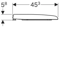 Asiento Y Tapa Inodoro Smyle – Geberit