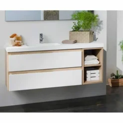 Mueble De Baño Suspendido Dos Cajones Con Modulo Dos Huecos Y Encimera 1 Seno SolidCoat Surface Grosor 5 Cm – Serie Life – Baños10