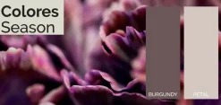 Plato De Ducha De Akron – Base Slate – Acquabella